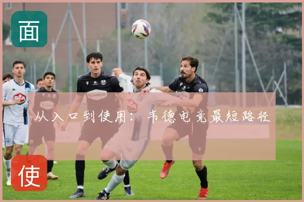 从入口到使用:韦德电竞最短路径